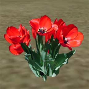 Example of finished tulips in Second Life.