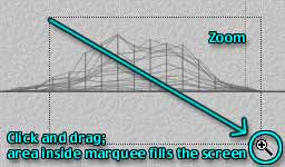 Using the Zoom Tool to make a Marquee, allowing you to fill the workspace into a specific area.