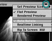 The preview menu, with a flat preview, and Auto Rotate highlighted
