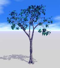 A sparse tree