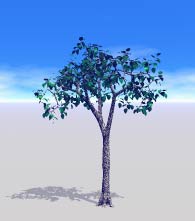 A tree that branches normally, but the branches end in small flat clusters that don't go anywhere