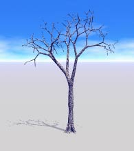 A bare tree, with no leaves at all