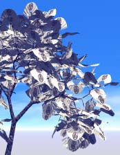 Render of a tree with Japanese fans as leaves!