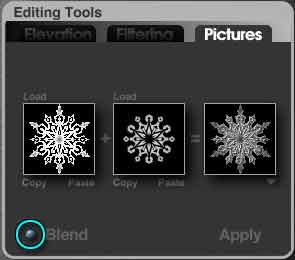 The Pictures tab of the Editing Tools palette, showing the original Snowflake, and Snowflake two, with the Blend button circled