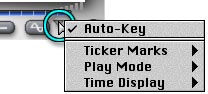 The Animation Options menu, showing Auto Key enabled