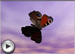 Link to Butterfly animation. Click to view it