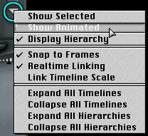 The Options menu, under the Preview Memory Dots, with Show Animated highlighted
