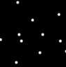 Bright white dots, with almost no blur, on a black ground