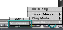 Main Window, Animation controls, setting Time Display to Frames