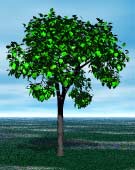 Render; tree with green leaves