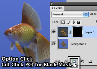 Hold Option/alt and Click New Mask for a Black Mask