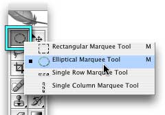 Select the Elliptical Marquee tool
