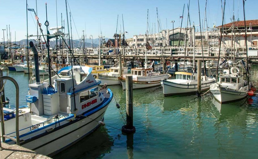 Boats at harbor in San Francisco, by Robin Wood